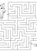 A Cat’s Maze