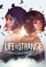 A Strange Life