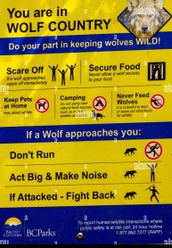 A Wolf Warning