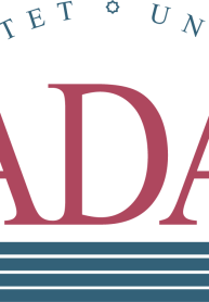 Ada University