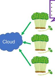 Data Cultivation System