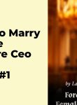 Forced to Marry a Female Billionaire CEO