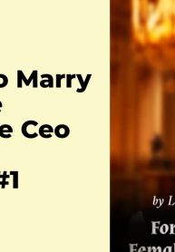 Forced to Marry a Female Billionaire CEO