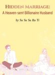 Hidden Marriage: A Heaven-sent Billionaire Husband