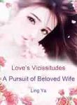 Love’s Vicissitudes: A Pursuit of Beloved Wife