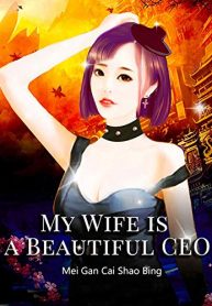 My Wife is a Beautiful CEO