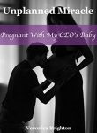 Pregnant With CEO’s Baby