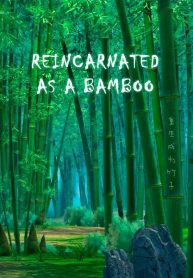 Reincarnated as A Bamboo