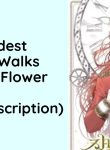 The Eldest Daughter Walks Down The Flower Path