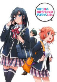 Yahari Ore no Seishun Rabukome wa Machigatte Iru. – Mougenroku