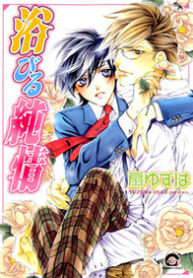 Abiru Junjou