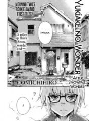 After Snowfall, Wonder