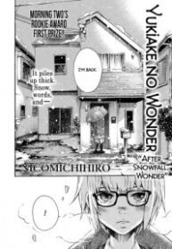 After Snowfall, Wonder