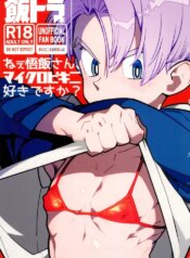 (ShotaFes 17) [Article 60 of Criminal Code (Shuhan)] Nee Gohan-san Micro Bikini Suki desu ka? | Hey Gohan, Do You Like Microbikinis? (Dragon Ball Z) [English] {Chin²}
