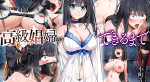 [Sentinel na Souko] Koukyuu Shoufu ga dekiru made ~Kangoku de Naki Sakebu Shoujo no Kousei Kiroku~
